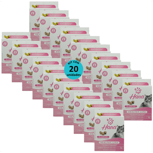 SNACK HANA HEALTHY LIFE PILL GUARD DISFARÇA COMPRIMIDOS 25G PARA GATOS KIT COM 20